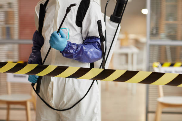 Professional Sewage Cleanup technician working in Homer, OH